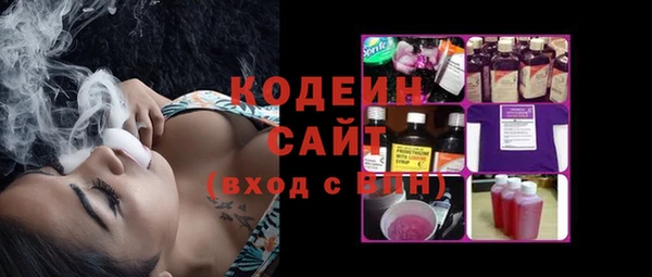 ГАЛЛЮЦИНОГЕННЫЕ ГРИБЫ Вяземский