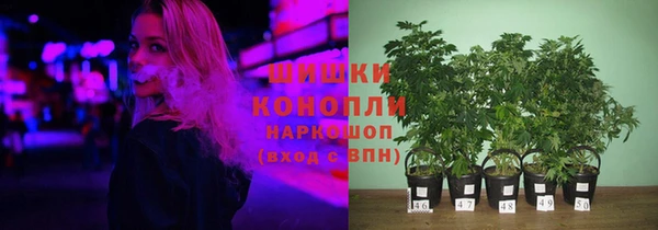 ГАЛЛЮЦИНОГЕННЫЕ ГРИБЫ Вяземский