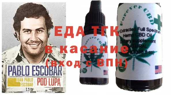 ГАЛЛЮЦИНОГЕННЫЕ ГРИБЫ Вяземский