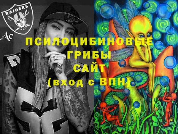 хмурый Вязники