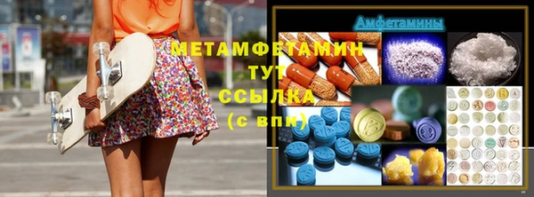 ГАЛЛЮЦИНОГЕННЫЕ ГРИБЫ Вяземский