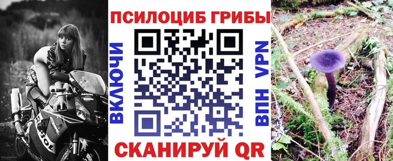 shop как зайти  KRAKEN ссылка  Псилоцибиновые грибы GOLDEN TEACHER  Елец  закладки 