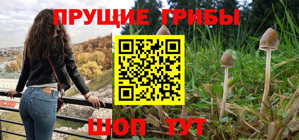 Галлюциногенные грибы мицелий Елец