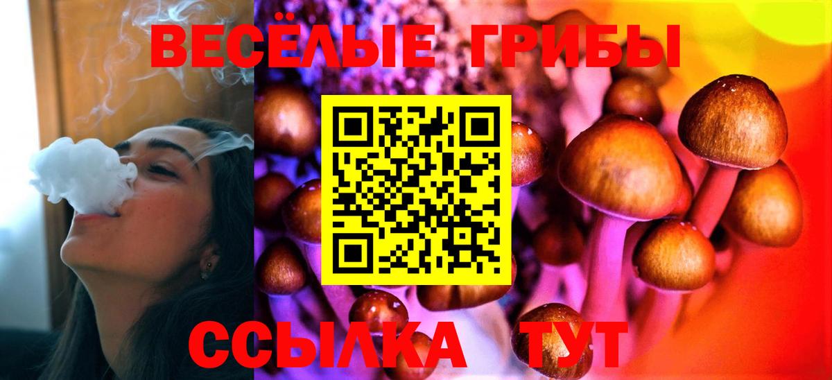 Галлюциногенные грибы GOLDEN TEACHER  Вход с VPN  цена наркотик  Елец  Псилоцибиновые грибы Psilocybine cubensis 